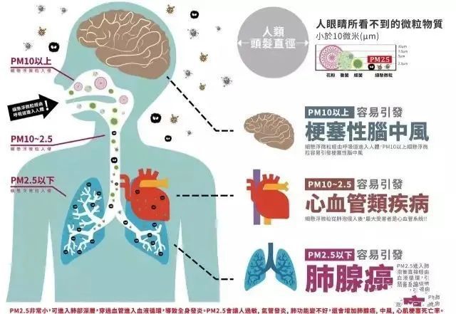 麦芽硒维康好吗