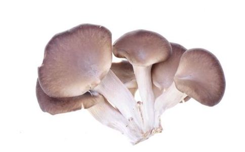 不缺锌能吃锌硒宝吗