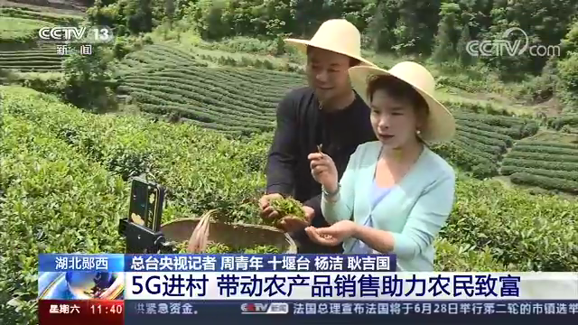 卖富硒茶直播间