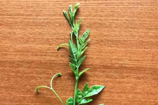 湖北恩施四大名茶，湖北恩施最好的茶叶品牌