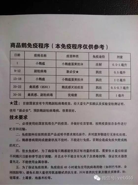 补多了硒会怎么样(补硒会引起哪些疾病)-硒宝网