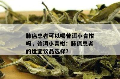 肺癌患者可以喝普洱小青柑吗，普洱小青柑：肺癌患者的适宜饮品选择？