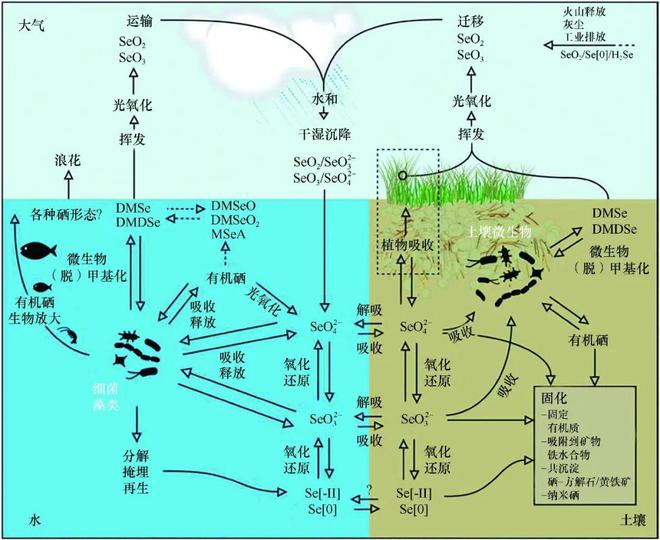 环境补硒最好方法