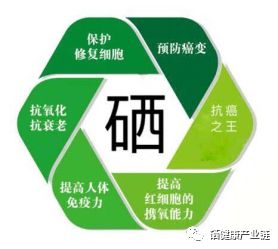 hpv补硒的剂量