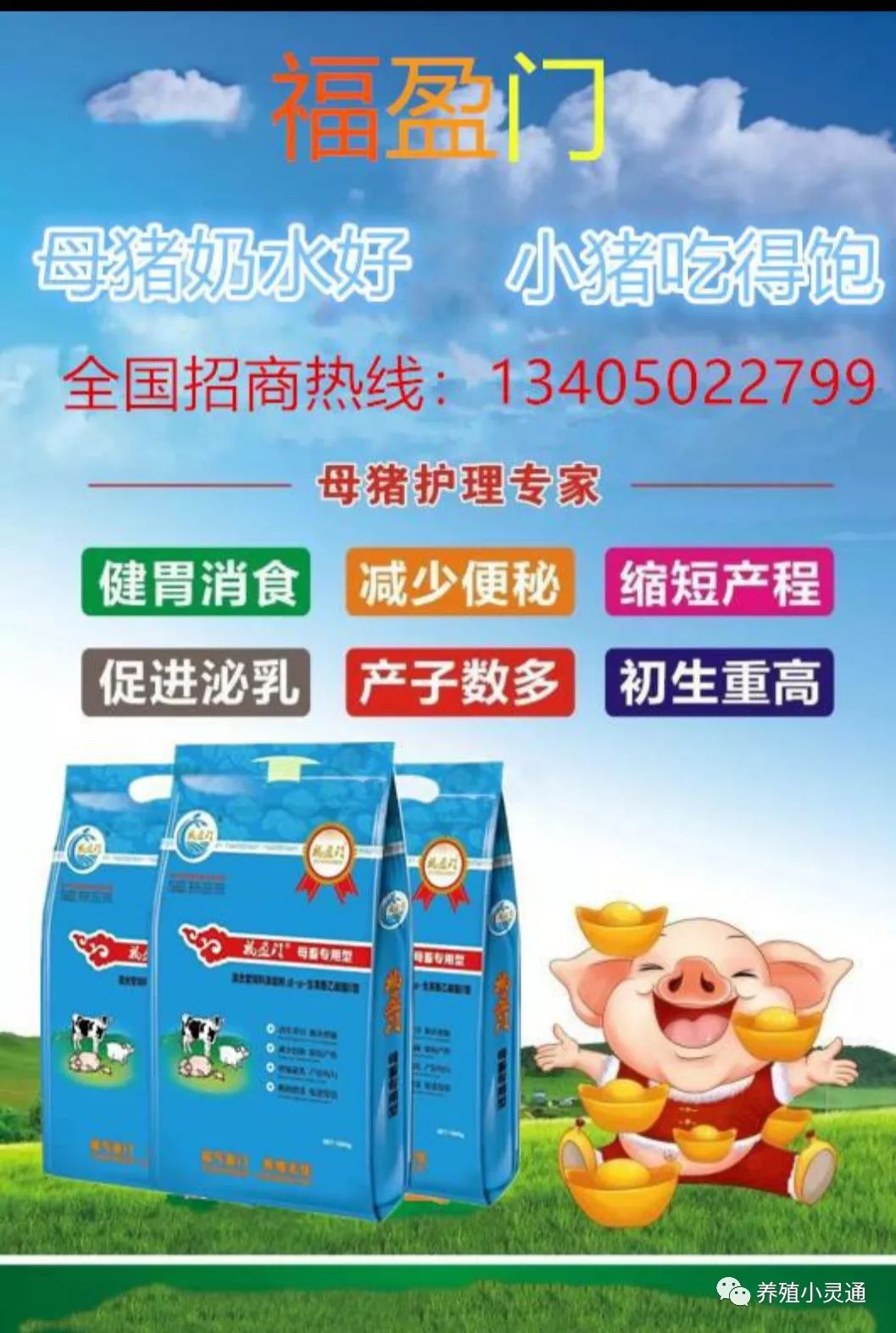 仔猪出生几天补硒