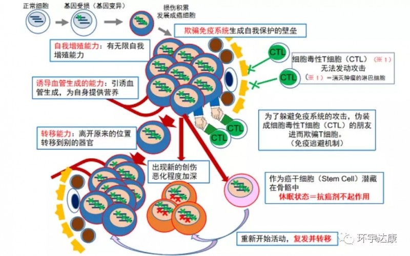 化疗是否需要补硒