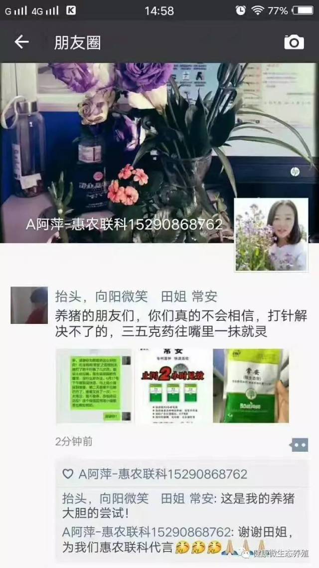 母猪怎么快速补硒