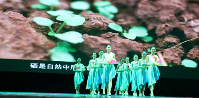 全国科学补硒工程(全民科学补硒工程工作站)-硒宝网