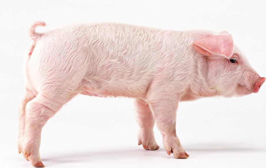 补硒引起眼睛水肿(眼睛水肿是因为肾不好吗)-硒宝网