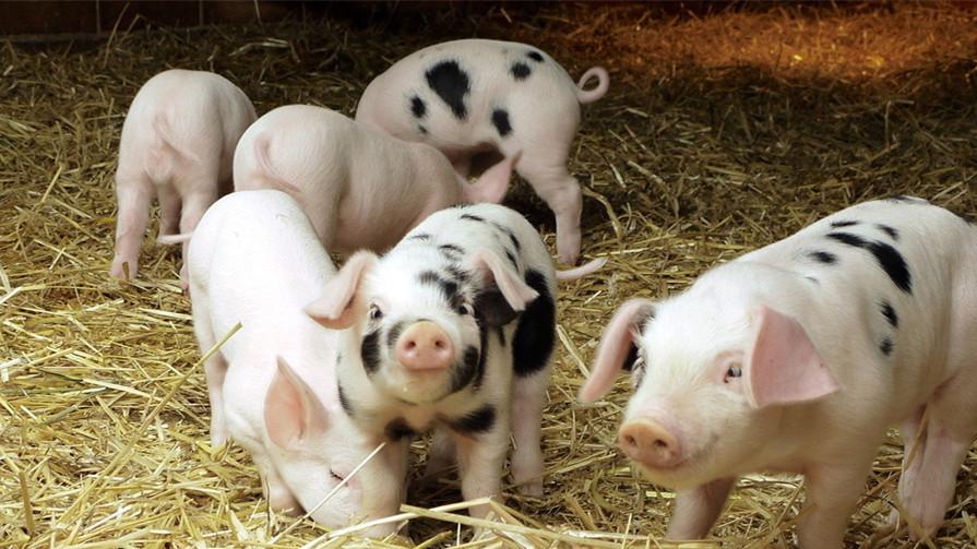 补硒引起眼睛水肿(眼睛水肿是因为肾不好吗)-硒宝网