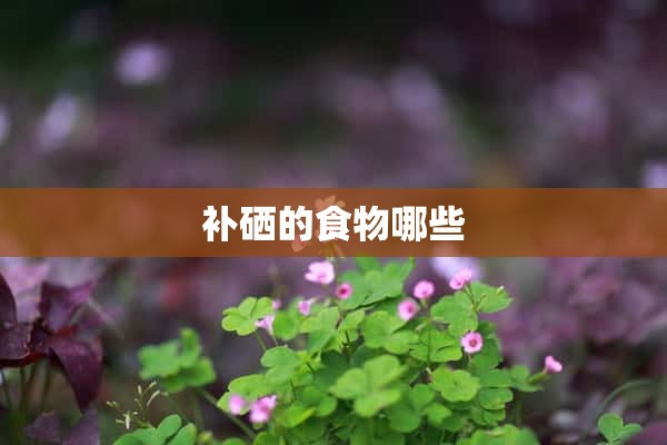 补硒的食物哪些