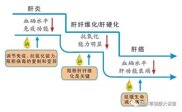 硒元素可以补肝吗
