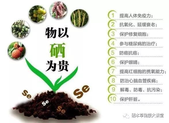 硒元素可以补肝吗