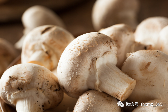 人人都须要补硒吗