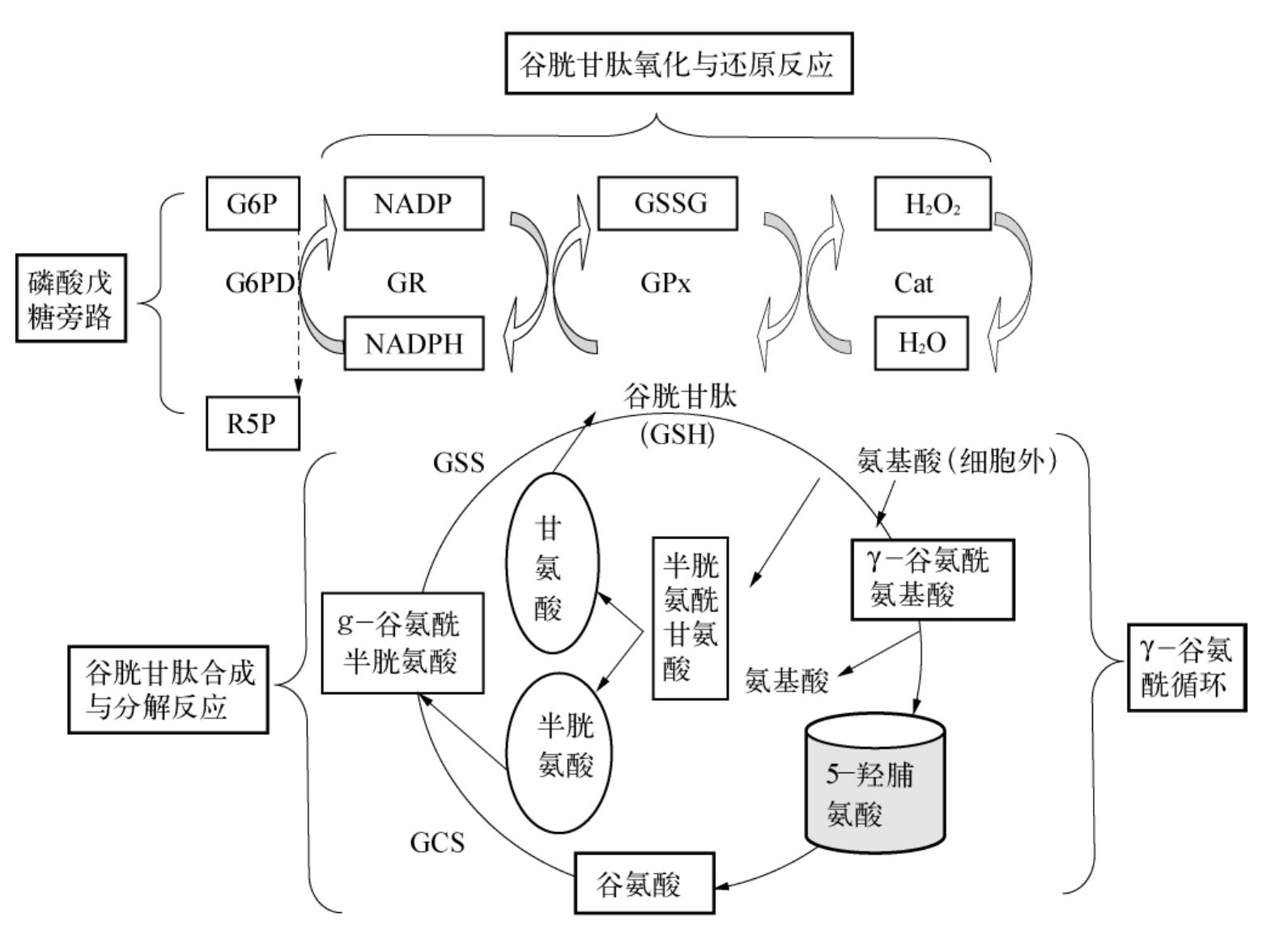 铁锌碘硒铜怎么补