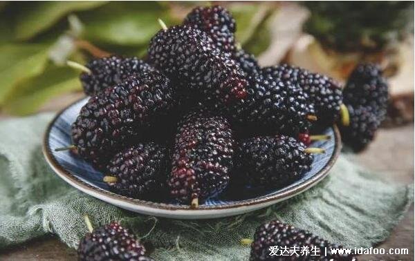 硒的作用和补硒的好处，能延长寿命?；じ卧嗪托难? /></p>
<p>每100可桑椹的硒含量约为5.65微克，桑葚干约30微克，含硒第一名的水果就是桑椹了，在古时候桑葚就已经是皇帝御用的补品，在桑椹中含有丰富的维生素、胡萝卜素、氨基酸、活性蛋白、矿物质、白藜芦醇、花青素等成分，常吃桑椹可提高人体免疫力，抗氧化、延缓衰老，有美容养颜的功效。它的营养价值是苹果的5、6倍，葡萄的4倍，有非常多的功效……【查看详情】</p>										<div   id="zptmy5zary"   class="single-copyright">
						版权声明：本文为互联网用户自发贡献的内容，其中观点及相关内容仅代表作者本人。本网站仅提供信息存储空间服务，不拥有这些内容的所有权，并且不承担任何法律责任。如果发现本网站上有涉嫌侵权或违法违规的内容，请立即联系我们的客服QQ：6532516以便进行及时清除。					</div>
									</div>
                <div   id="zptmy5zary"   class="mb-default clearfix">
										<a class="float-left btn btn-outline-default mr-small" href="http://www.jkassets.cn/tag/%e8%a1%a5%e7%a1%92%e5%af%b9%e9%bb%84%e7%96%b8%e7%9a%84%e4%bd%9c%e7%94%a8/">补硒对黄疸的作用</a>
									</div>          
				<div   id="zptmy5zary"   class="log-neighbor clearfix">
					<a href="http://www.jkassets.cn/34550.html" rel="prev"><span>上一篇：</span>肾癌可以吃补硒吗（吃硒能治疗癌症晚期吗）</a>					<a href="http://www.jkassets.cn/34552.html" rel="next"><span>下一篇：</span>补硒会引起发烧吗（发烧可以吃硒片吗）</a>				</div>
                <div   id="zptmy5zary"   class="log-readmore">
					<h5 class="page-header">继续阅读</h5>
					<ul>
					<li><span id="zptmy5zary"    class="page-dot"></span>暂无推荐</li>					</ul>
				</div>
            </div>
        </div>
<div   id="zptmy5zary"   class="col-right d-none d-lg-block">
		<div   id="zptmy5zary"   class="sidebar-box">
		<h4 class="sidebar-title">随机文章</h4>
		<div   id="zptmy5zary"   class="sidebar-log">
			<ul>
								<li><a href="http://www.jkassets.cn/59077.html" target="_blank">安徽仙寓山富硒野茶（安徽东至仙寓山野茶）</a></li>
								<li><a href="http://www.jkassets.cn/39709.html" target="_blank">湖北富硒大米之乡（湖北富晒大米）</a></li>
								<li><a href="http://www.jkassets.cn/74702.html" target="_blank">乳腺癌化疗后缺硒怎么补（缺癌乳腺补化疗硒后会复发吗）</a></li>
								<li><a href="http://www.jkassets.cn/50937.html" target="_blank">乳腺癌术后怎样补硒（癌术乳腺补硒后多久复查）</a></li>
								<li><a href="http://www.jkassets.cn/40941.html" target="_blank">富硒全麦面粉直播（富硒小麦面粉多少钱一斤）</a></li>
								<li><a href="http://www.jkassets.cn/80557.html" target="_blank">补硒白带异常（硒过量甲状腺功能异常）</a></li>
								<li><a href="http://www.jkassets.cn/43953.html" target="_blank">婴儿怎么补铁（婴儿补铁到几个月停止）</a></li>
								<li><a href="http://www.jkassets.cn/77669.html" target="_blank">富硒面粉过保质期能吃吗（面粉能过期吗）</a></li>
								<li><a href="http://www.jkassets.cn/33325.html" target="_blank">扁平疣需要补硒吗（补扁平疣需要硒片多久）</a></li>
								<li><a href="http://www.jkassets.cn/10627.html" target="_blank">癌症患者用补硒含片吗（癌症病人补充硒）</a></li>
							</ul>
		</div>
	</div>
			<div   id="zptmy5zary"   class="sidebar-box js_asd_bottom">
		<div   id="zptmy5zary"   class="sidebar-custom">
			<a href="" rel="nofollow" target="_blank">
				<img src="http://www.jkassets.cn/wp-content/uploads/2023/12/1593602619028180.jpg"></a>
		</div>

	</div>
	</div>    </div>
</div>
 <div   id="zptmy5zary"   class="footer-wrap">
	<div   id="zptmy5zary"   class="container">
		<div   id="zptmy5zary"   class="row">
			<div   id="zptmy5zary"   class="col-12">
				
<a href="http://www.jkassets.cn/privacy-policy/">隐私政策</a>

								<a rel="nofollow"  target="_blank">陕ICP备2021015245号-4</a><a href="/sitemap.xml">网站地图</a>
								<span>© 硒宝网</span>
			</div>
		</div>
	</div>
</div>
<a class="page-backtop"><i class="fa fa-icon fa-angle-up"></i></a>
<script>
var swiper = new Swiper(