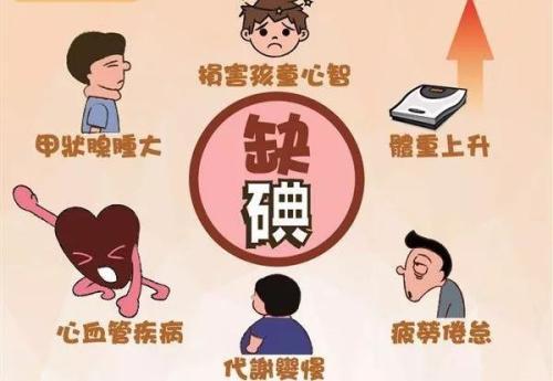 孕妇吃什么对宝宝智力好，医生：常吃这4种食物，宝宝更聪明