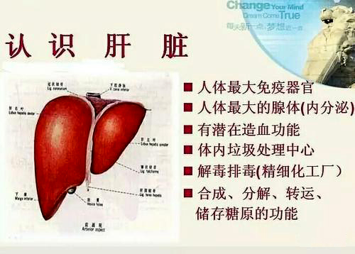 肝病为什么要补硒(补硒治愈了我的肝?。?硒宝网