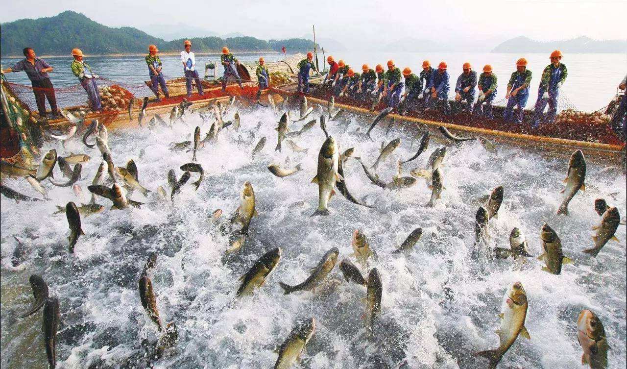 人们常用的补硒源
