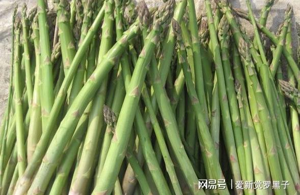 补硒可以可以吃吗