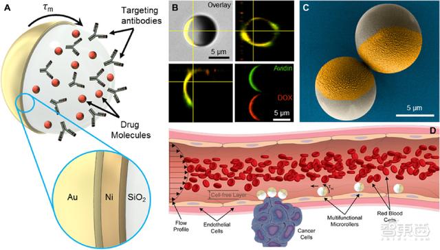 血小板低补什么硒(补血小板低硒的食物)-硒宝网
