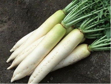 孕妇能吃萝卜吗？怀孕期间应慎吃白萝卜