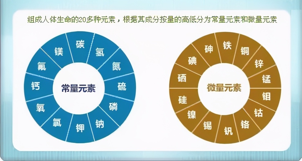 为什么女性要补硒