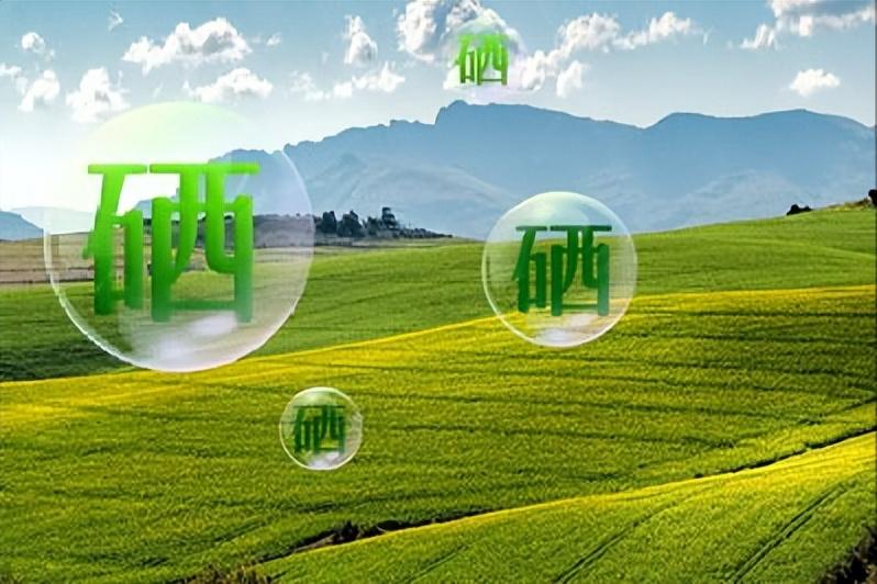 缺少硒吃啥补最好