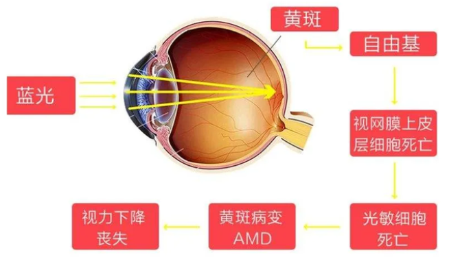 哪些食物是补硒的