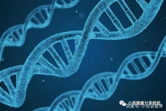 人需要天天补硒吗