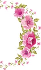 男士备孕补锌补硒(男性备孕吃什么锌硒宝)-硒宝网