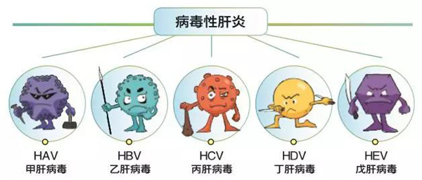 个人乙肝能补硒吗