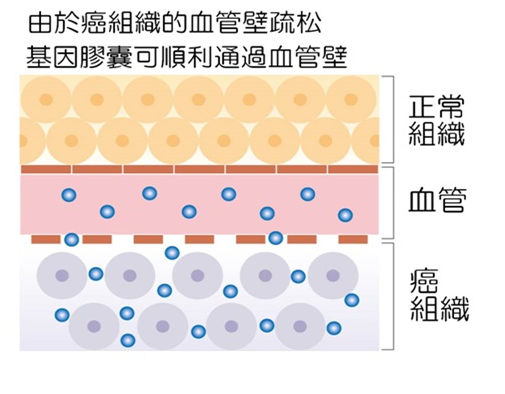 补硒对脾脏有用么