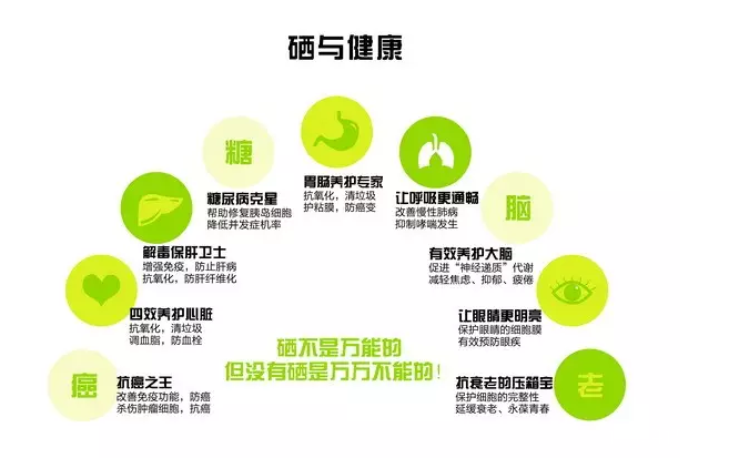 钙铁锌硒补激素吗