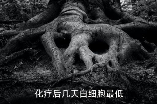  化疗后几天白细胞最低