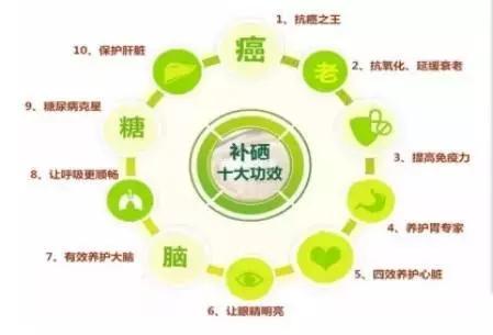 补硒会影响脾胃吗
