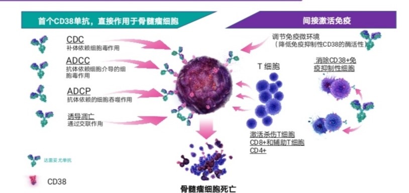 补硒后白细胞降低
