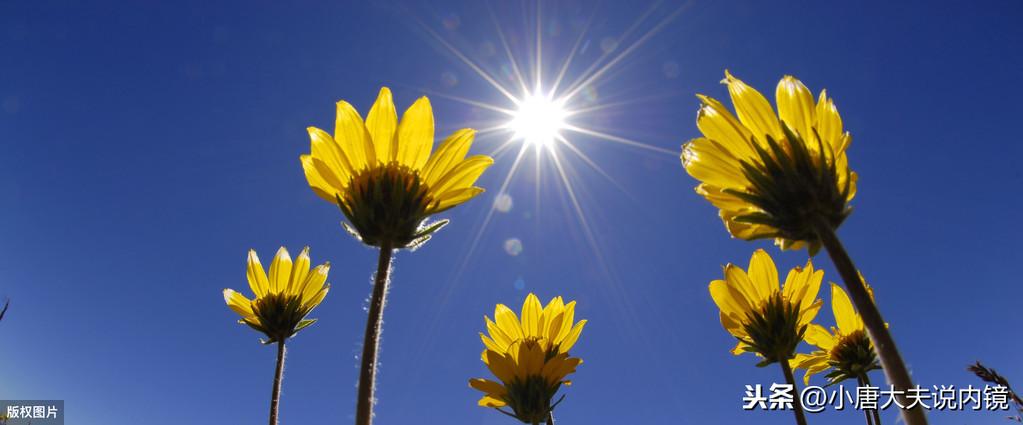 食道癌补硒能好吗(癌症患者可以吃硒吗)-硒宝网