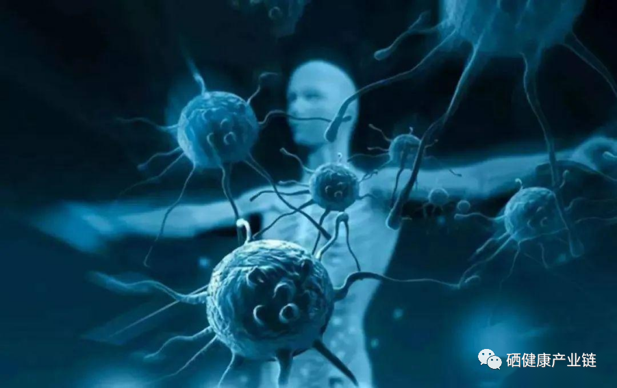 补硒会有依赖性吗(长期补硒会不会产生依赖性)-硒宝网