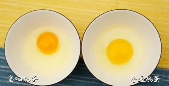 蛋鸡多长时间补硒(多长补时间硒蛋鸡最佳)-硒宝网