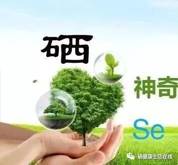 长期补硒会伤肝吗