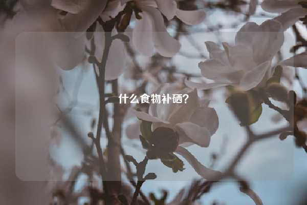 什么食物补硒？ 问答