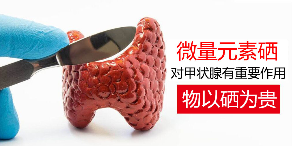 物以“硒”为贵，甲状腺疾病能适当补硒吗？