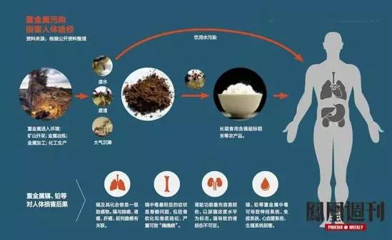 补硒会睡不着觉吗