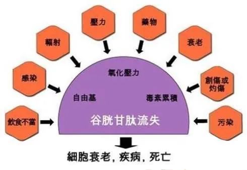 补硒提高免疫力吗