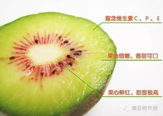 猕猴桃补硒的食物