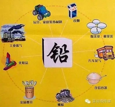 猕猴桃补硒的食物