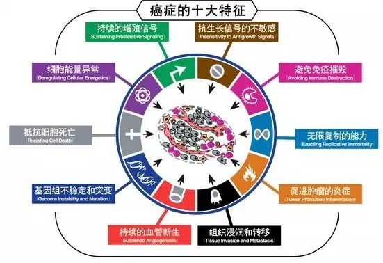 直肠癌补哪种硒好