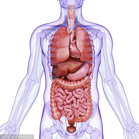 补硒能?；じ紊雎? /></p>
<p>4、?；ば难?。心血管事件是导致慢性肾脏病患者死亡的最重要因素，大部分慢性肾脏病患者最后都是死于心血管事件。硒能?；ぱ苣谄?，显著降低心血管事件的发生。这对改善慢性肾脏病患者的生活质量有重要价值。</p>
<p>作为一种必不可少的元素，硒的重要性在于它在人体中起着某些生物学作用：?；は赴馐苎趸痰挠跋?，调节一些前列腺素新陈代谢途径，并降低血浆过氧化物的浓度。这些作用是由谷胱甘肽过氧化物酶(GSH-Px)来进行的。这是一种硒依靠酶，分布于全身组织，参与不同的活动。</p>
<p>因此，每个人在日常生活中都应当重视补硒，补硒具有预防各种疾病的功效</p>										<div   id="zptmy5zary"   class="single-copyright">
						版权声明：本文为互联网用户自发贡献的内容，其中观点及相关内容仅代表作者本人。本网站仅提供信息存储空间服务，不拥有这些内容的所有权，并且不承担任何法律责任。如果发现本网站上有涉嫌侵权或违法违规的内容，请立即联系我们的客服QQ：6532516以便进行及时清除。					</div>
									</div>
                <div   id="zptmy5zary"   class="mb-default clearfix">
										<a class="float-left btn btn-outline-default mr-small" href="http://www.jkassets.cn/tag/%e8%a1%a5%e7%a1%92%e8%83%bd%e4%bf%9d%e6%8a%a4%e8%82%9d%e8%82%be%e5%90%97/">补硒能?；じ紊雎?/a>
									</div>          
				<div   id="zptmy5zary"   class="log-neighbor clearfix">
					<a href="http://www.jkassets.cn/36175.html" rel="prev"><span>上一篇：</span>孕期需不需要补硒（孕期补需需要硒的食物）</a>					<a href="http://www.jkassets.cn/36177.html" rel="next"><span>下一篇：</span>男补精吃什么锌硒（补锌和硒对男性有哪些好处）</a>				</div>
                <div   id="zptmy5zary"   class="log-readmore">
					<h5 class="page-header">继续阅读</h5>
					<ul>
					<li><span id="zptmy5zary"    class="page-dot"></span>暂无推荐</li>					</ul>
				</div>
            </div>
        </div>
<div   id="zptmy5zary"   class="col-right d-none d-lg-block">
		<div   id="zptmy5zary"   class="sidebar-box">
		<h4 class="sidebar-title">随机文章</h4>
		<div   id="zptmy5zary"   class="sidebar-log">
			<ul>
								<li><a href="http://www.jkassets.cn/65968.html" target="_blank">富硒产品有什么危害吗（富硒的危害）</a></li>
								<li><a href="http://www.jkassets.cn/10979.html" target="_blank">补硒是不是造成钙流失（钙流失需要补钙吗）</a></li>
								<li><a href="http://www.jkassets.cn/64409.html" target="_blank">补锌和补硒有什么区别（补锌和补硒的食物有哪些）</a></li>
								<li><a href="http://www.jkassets.cn/65564.html" target="_blank">宝宝补钙过量有什么害处（过量补钙宝宝害处有那些）</a></li>
								<li><a href="http://www.jkassets.cn/75508.html" target="_blank">儿童补铁口服液排行榜（儿童口服铁剂什么品牌好）</a></li>
								<li><a href="http://www.jkassets.cn/43350.html" target="_blank">硒维康片有何作用（硒维康片的作用与功效）</a></li>
								<li><a href="http://www.jkassets.cn/30143.html" target="_blank">陆羽安康富硒茶（安康富硒茶多少钱一斤）</a></li>
								<li><a href="http://www.jkassets.cn/40206.html" target="_blank">宝清富硒大米于芳（富硒大米粉）</a></li>
								<li><a href="http://www.jkassets.cn/74487.html" target="_blank">补硒最好的药是什么药呢（补硒的药有害）</a></li>
								<li><a href="http://www.jkassets.cn/52269.html" target="_blank">儿童补硒口服液价格（补硒的口服液）</a></li>
							</ul>
		</div>
	</div>
			<div   id="zptmy5zary"   class="sidebar-box js_asd_bottom">
		<div   id="zptmy5zary"   class="sidebar-custom">
			<a href="" rel="nofollow" target="_blank">
				<img src="http://www.jkassets.cn/wp-content/uploads/2023/12/1593602619028180.jpg"></a>
		</div>

	</div>
	</div>    </div>
</div>
 <div   id="zptmy5zary"   class="footer-wrap">
	<div   id="zptmy5zary"   class="container">
		<div   id="zptmy5zary"   class="row">
			<div   id="zptmy5zary"   class="col-12">
				
<a href="http://www.jkassets.cn/privacy-policy/">隐私政策</a>

								<a rel="nofollow"  target="_blank">陕ICP备2021015245号-4</a><a href="/sitemap.xml">网站地图</a>
								<span>© 硒宝网</span>
			</div>
		</div>
	</div>
</div>
<a class="page-backtop"><i class="fa fa-icon fa-angle-up"></i></a>
<script>
var swiper = new Swiper(