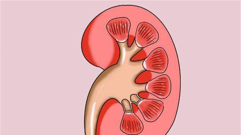 补硒能保护肝肾吗（补硒能护肝吗）-硒宝网